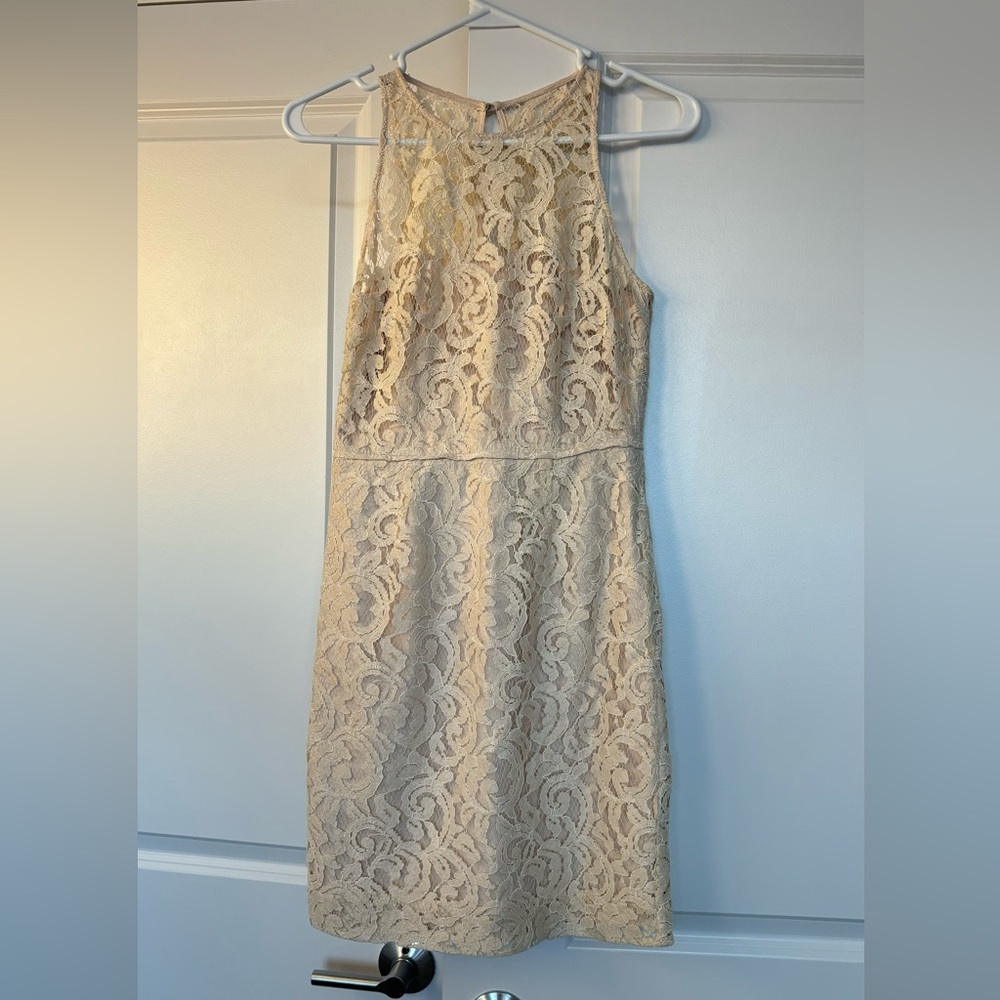 J Crew Collection Dress